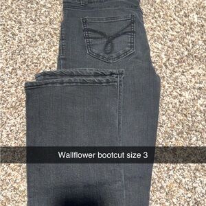 Wallflower Black Bootcut Jeans with Back Pocket Stitching